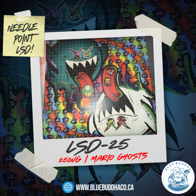 1022_04_lsdMARIOGHOSTweb
